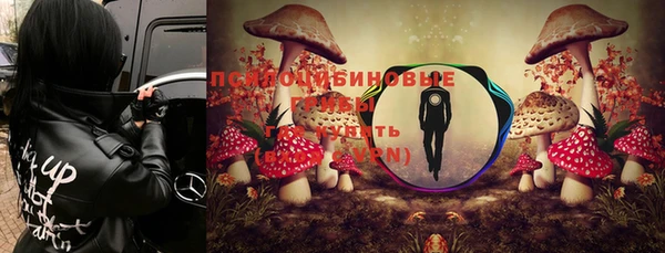 экстази Гусиноозёрск