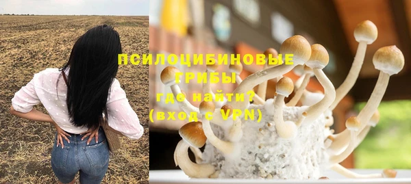 мескалин Гусь-Хрустальный