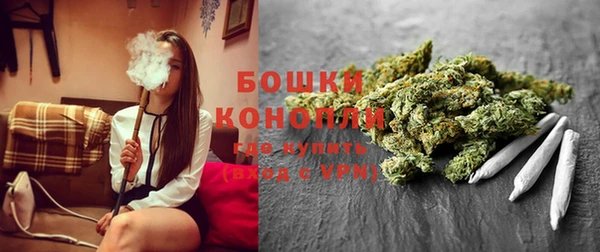 гидропоника Гусев