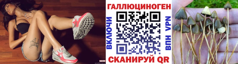 Купить закладки  Кашира  Галлюциногенные грибы ЛСД 